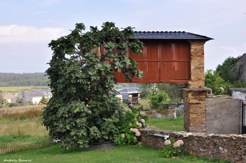 Apartamentos A Palleira 巴雷罗斯 外观 照片